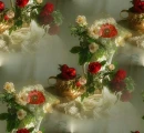 Backgrounds