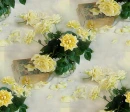 Backgrounds