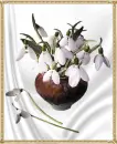 Snowdrops