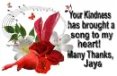 Song in my Heart - Jaya