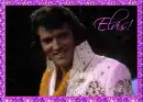 ELVIS