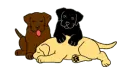 dogs 