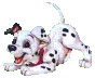 dog line