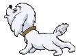 dog line