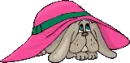 dog&pink hat