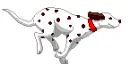 runing dog 