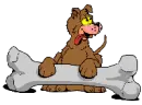 dog&bone 