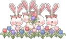 bunnyes line