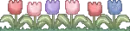 tulips line