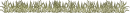 plants line