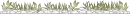 plants line