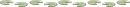 plants line