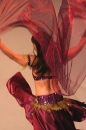 Belly Dancer