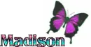 madisonchange color butterfly