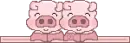 pigs line