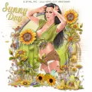 sunny day