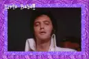 Elvis Babe!!