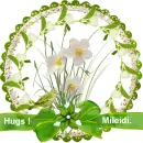 Glitter Graphics  misk 