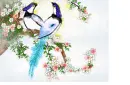 Birds Paradise
