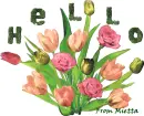 Hello