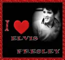 Elvis-I Love Elvis Presley