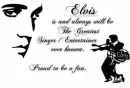 Elvis fan