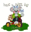 chrissi