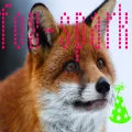 Foxy-spark avatar
