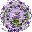 Glitter Graphics  misk 