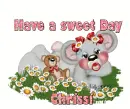 chrissi