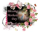 Glitter Graphics  misk 