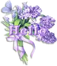 Hello