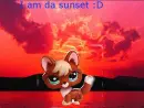 Fox - I am da sunset!