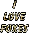 I LOVE FOXES -glitter1