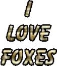 I LOVE FOXES-THERE SO CUTE!