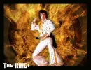 Elvis-The King!