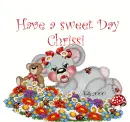 chrissi