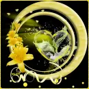 Glitter Graphics  misk 