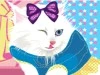 lovely kitty