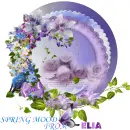 Glitter Graphics   PERSONAL