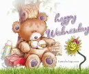 Happy Wednesday Bear with flower and duck
