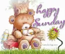 Happy Sunday Bear with flower and duck