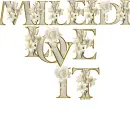 Glitter text personal mileidi