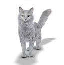 Silky - The Foo-Pet