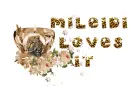 Glitter Graphics  