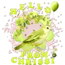 Chrissy