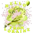 Loraine