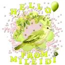 Mileidi
