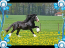 shires