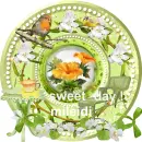 glitter graphics  misk